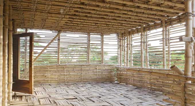 Bamboo in Construction: An Eco-Friendly Revolution