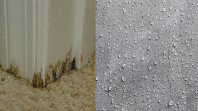 Concrete Sweating: What is it and How to Prevent it