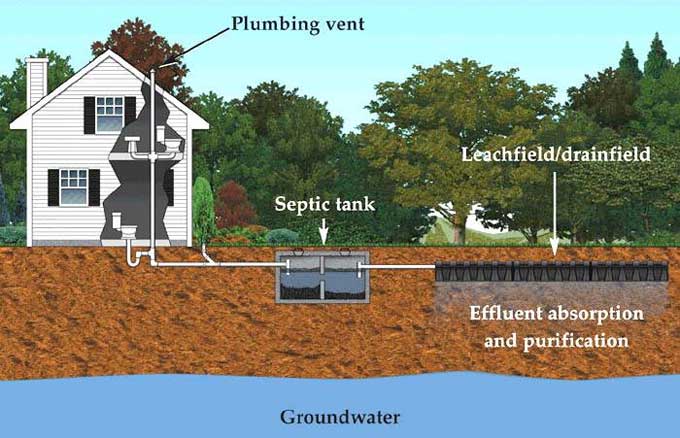 How can you maintain the Septic tank in your home?