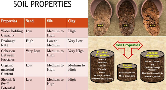 Compaction Effects On Soil Structure